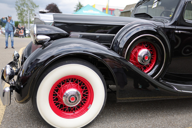 Calag_Oldtimer2025-01 | Ich fotografiere Hundeausstellungen, Sportanlässe, Zuchtstätten, Hundezucht, Hundeportrait, Lagotto - Realisiert mit Pictrs.com