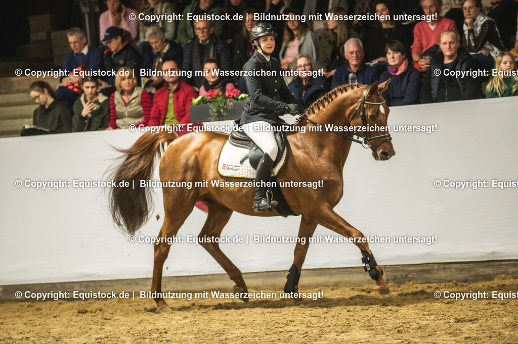 20240302_Hengstvorstellung_Marbach_TOMsPiC_1335 | equistock
