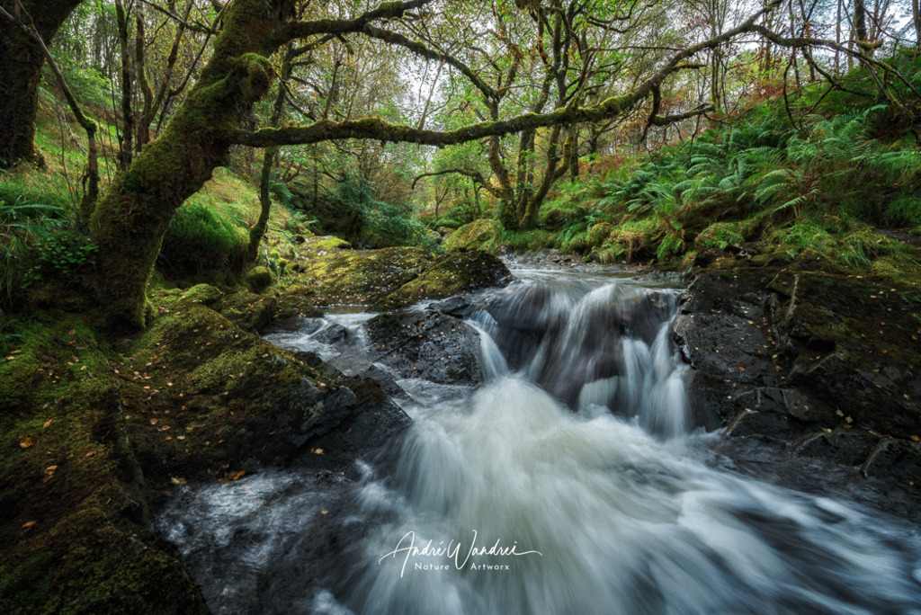 Quell des Lebens | Andre Wandrei - Nature Artworx - Realisiert mit Pictrs.com