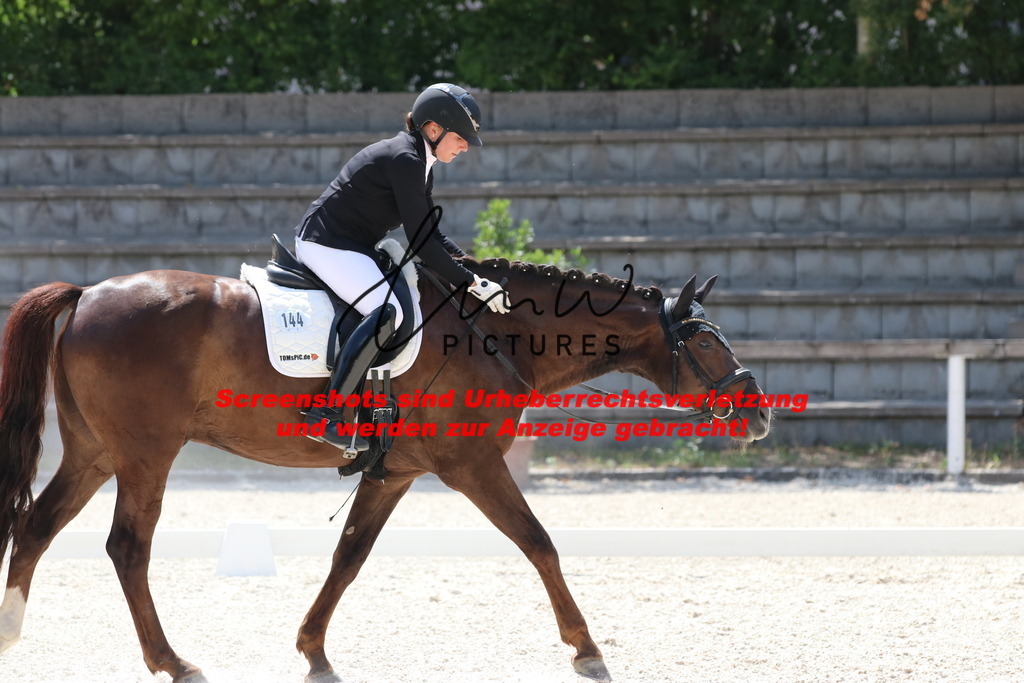 IMG_5219 | lmwpictures - Realisiert mit Pictrs.com