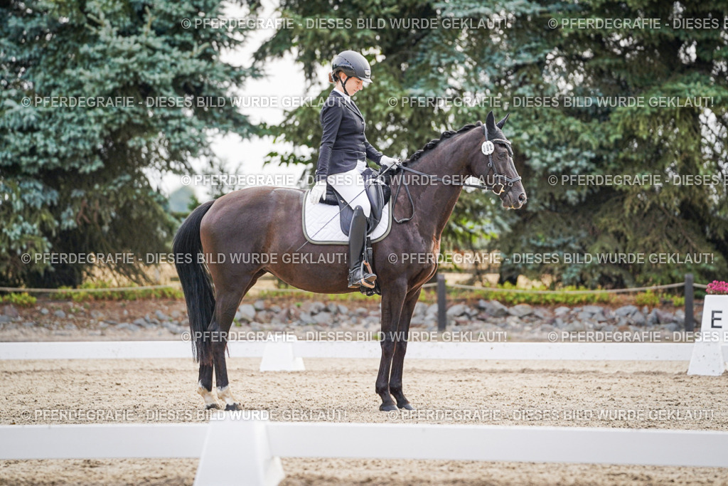 DSC00509 | Pferdegrafie