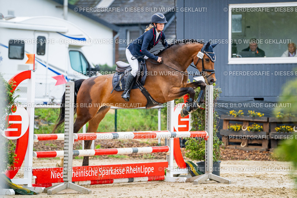 DSC02648 | Pferdegrafie