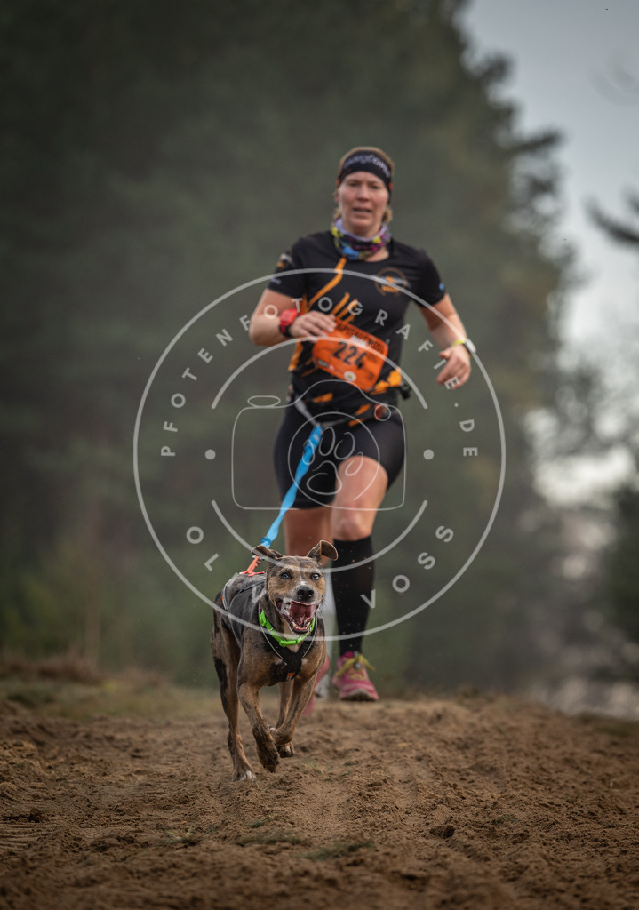 Pfotenfotografie_DV3A5399 | Hundefotografie, Tierfotograf, Pfotenfotografie, Fotoshooting Hund, Hunde Portrait, Hundesport, Hundeportraits, Heideshooting, Hunde, Sportfotograf, Hundefotograf, Turnierhundsport, THS,  - Realisiert mit Pictrs.com