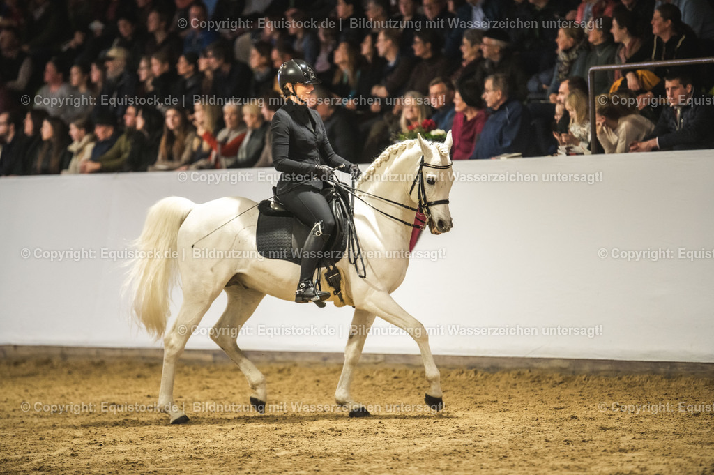20240302_Hengstvorstellung_Marbach_TOMsPiC_1070 | equistock