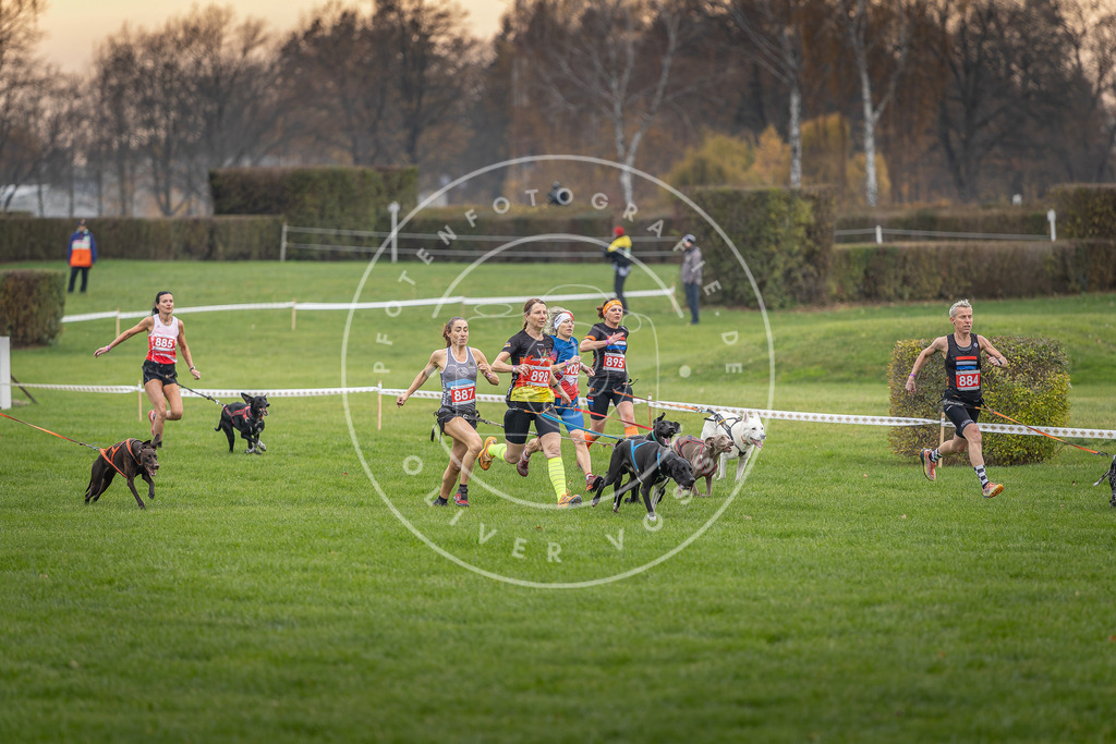 CaniXpix_DV3A6575 | Hundefotografie, Tierfotograf, Pfotenfotografie, Fotoshooting Hund, Hunde Portrait, Hundesport, Hundeportraits, Heideshooting, Hunde, Sportfotograf, Hundefotograf, Turnierhundsport, THS,  - Realisiert mit Pictrs.com