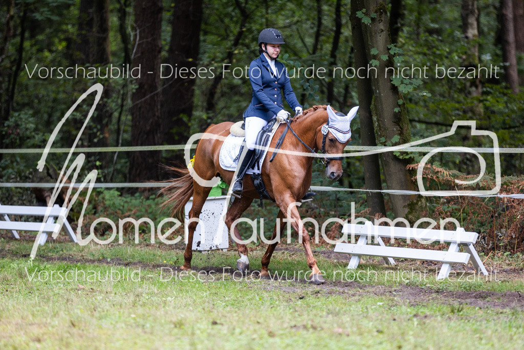 HB-Dressur-WB-078 | MomenTaufnahmen Pferdesportfotos