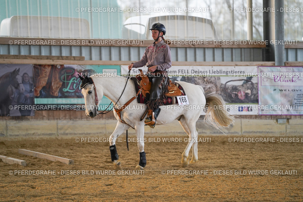 DSC08921 | Pferdegrafie