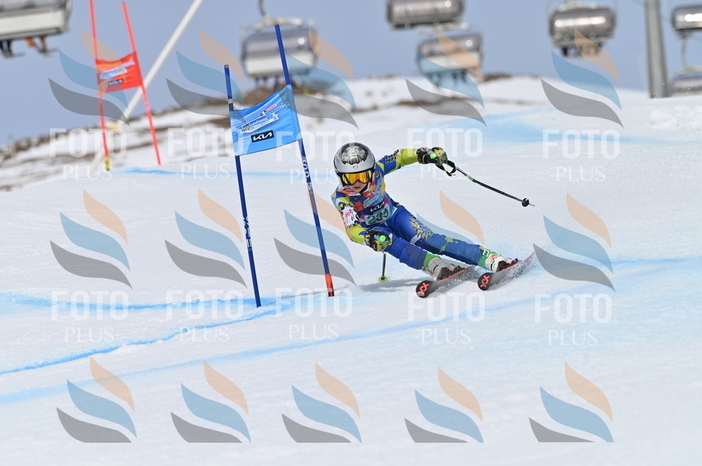 BGV_4732 | holidayphoto