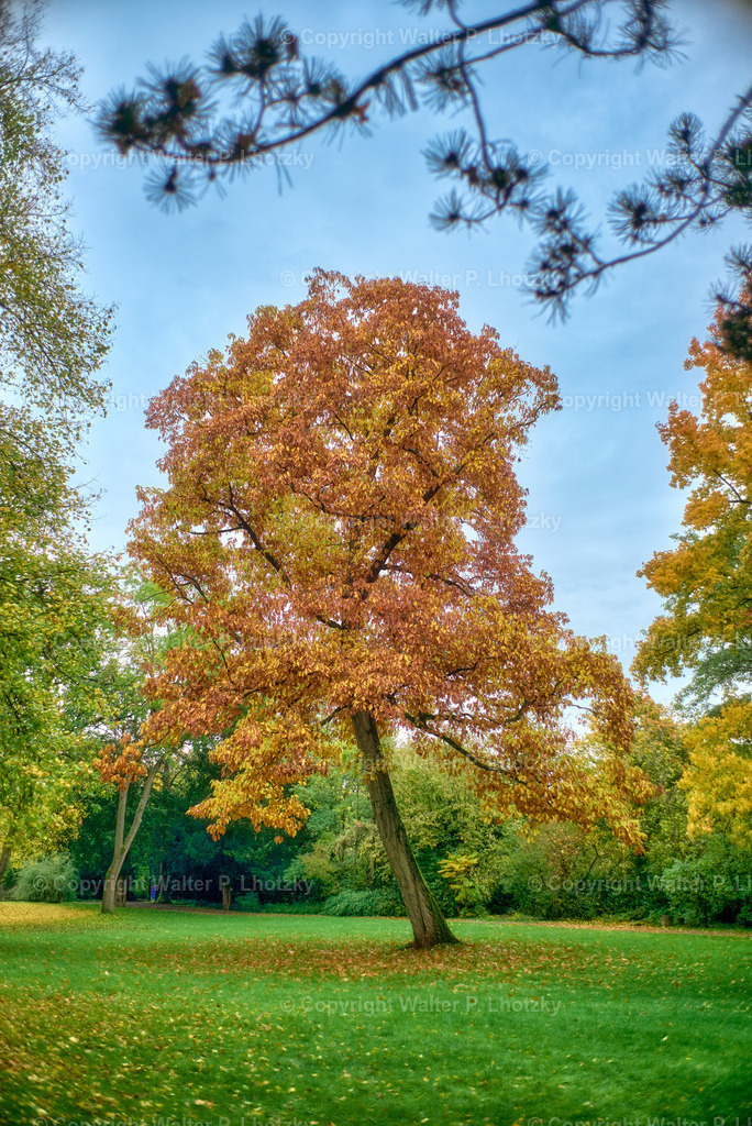 L1006587 | wlstudio - Realisiert mit Pictrs.com