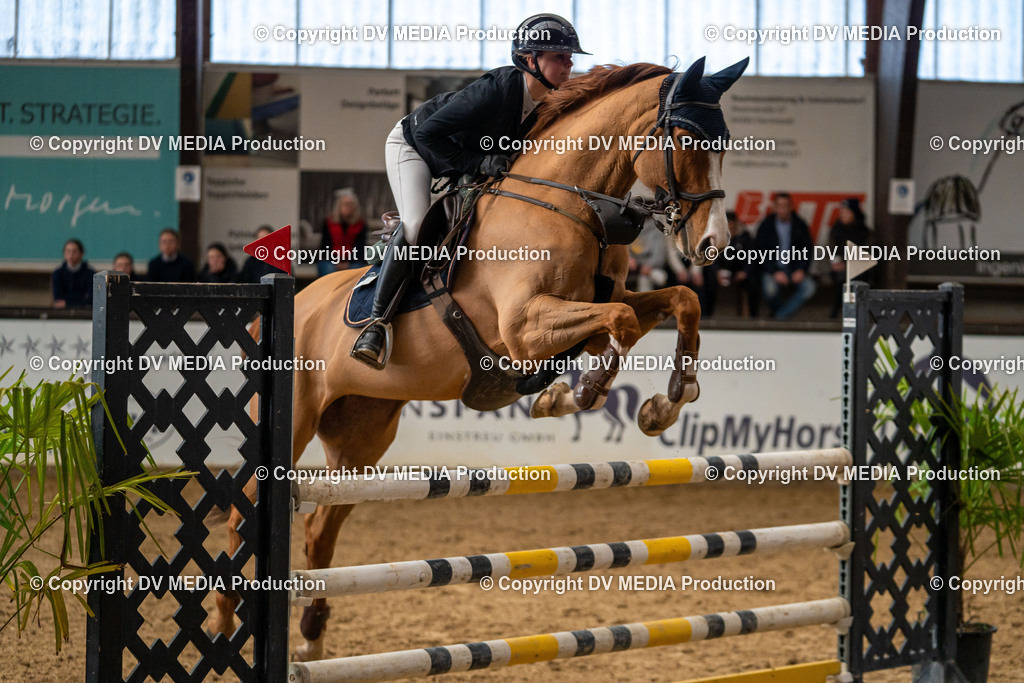 Kranichstein Tag 2-483 | dv-media-shop - Realisiert mit Pictrs.com