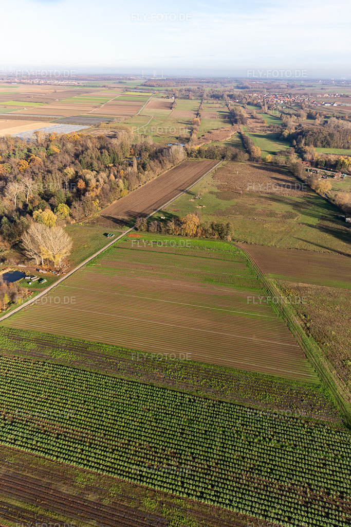 Luftbild: Billigheimer Bruch, Steinfelsbachtal zwischen Barbelroth, Hergersweiler und Winden in Barbelroth im Bundesland Rheinland-Pfalz in Deutschland. Foto: IMG_123890.jpg vom 21.11.2020 durch Werner Riehm/FLY-FOTO.de
