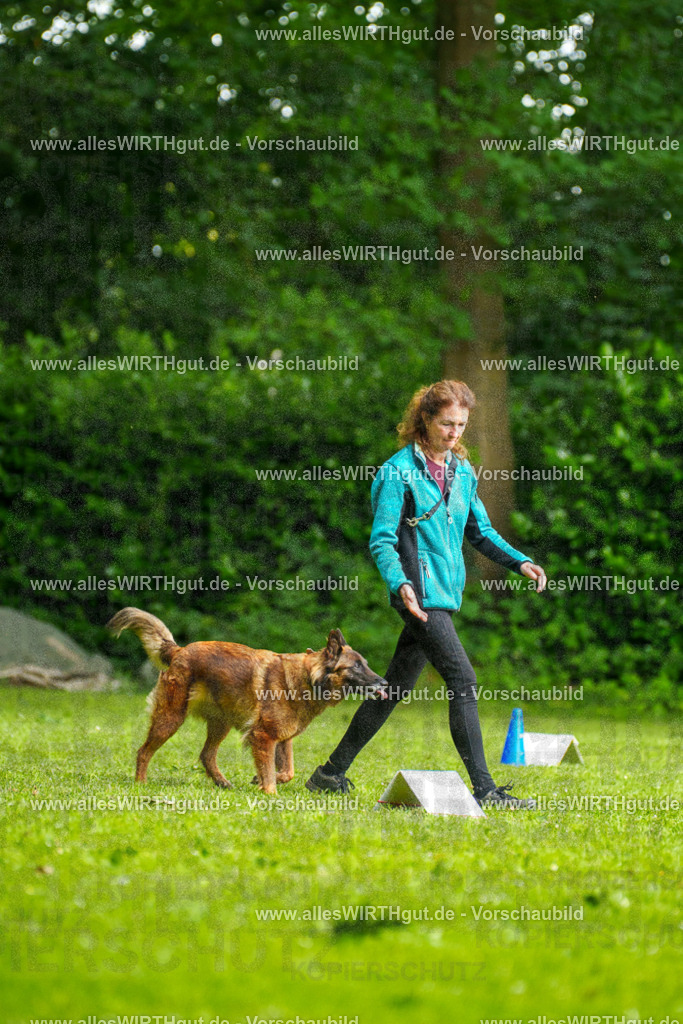 @allesWIRTHgut_Tierfotografie - www.allesWIRTHgut.de - 101844-7R508324 | Professionelle Tierfotografie in Mönchengladbach von Daniel Wirth (allesWIRTHgut). Liebevolle & natürliche Bilder von Hunden & Katzen für unvergessliche Erinnerungen.