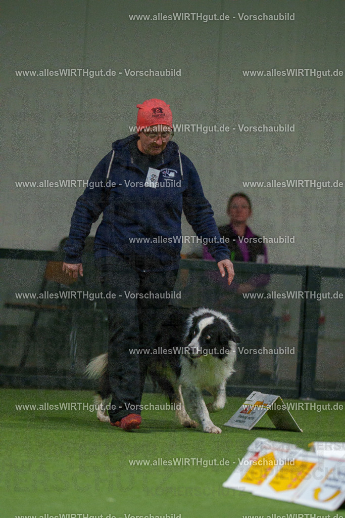 7R504540 | Professionelle Tierfotografie in Mönchengladbach von Daniel Wirth (allesWIRTHgut). Liebevolle & natürliche Bilder von Hunden & Katzen für unvergessliche Erinnerungen.