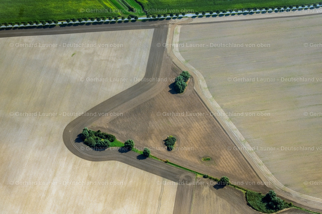 4061714 | NEUENPLEEN 08.09.2021 Baum- Inseln auf einem Feld in Neuenpleen im Bundesland Mecklenburg-Vorpommern, Deutschland. // Islands of trees in a field in Neuenpleen in the state Mecklenburg - Western Pomerania, Germany. Foto: Gerhard Launer