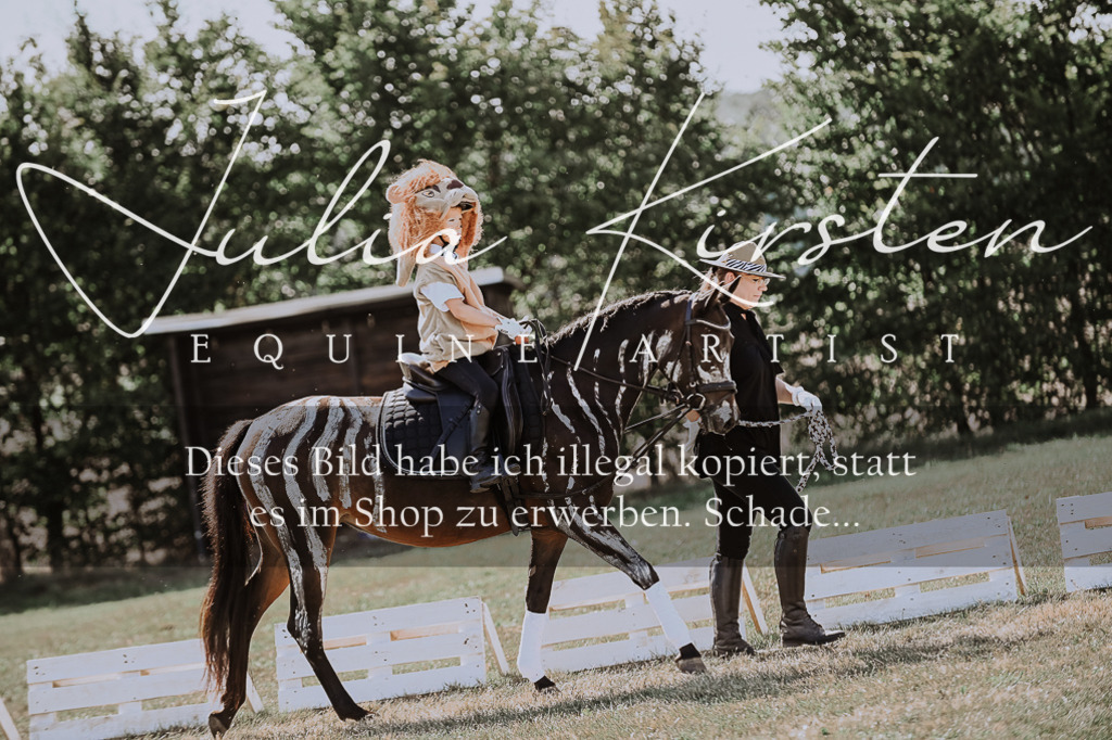 DSC_9089 | Pferde- und Turnierfotografie in Westsachsen. Pferdeportraits, Auftragszeichnungen und intuitive Kunst.