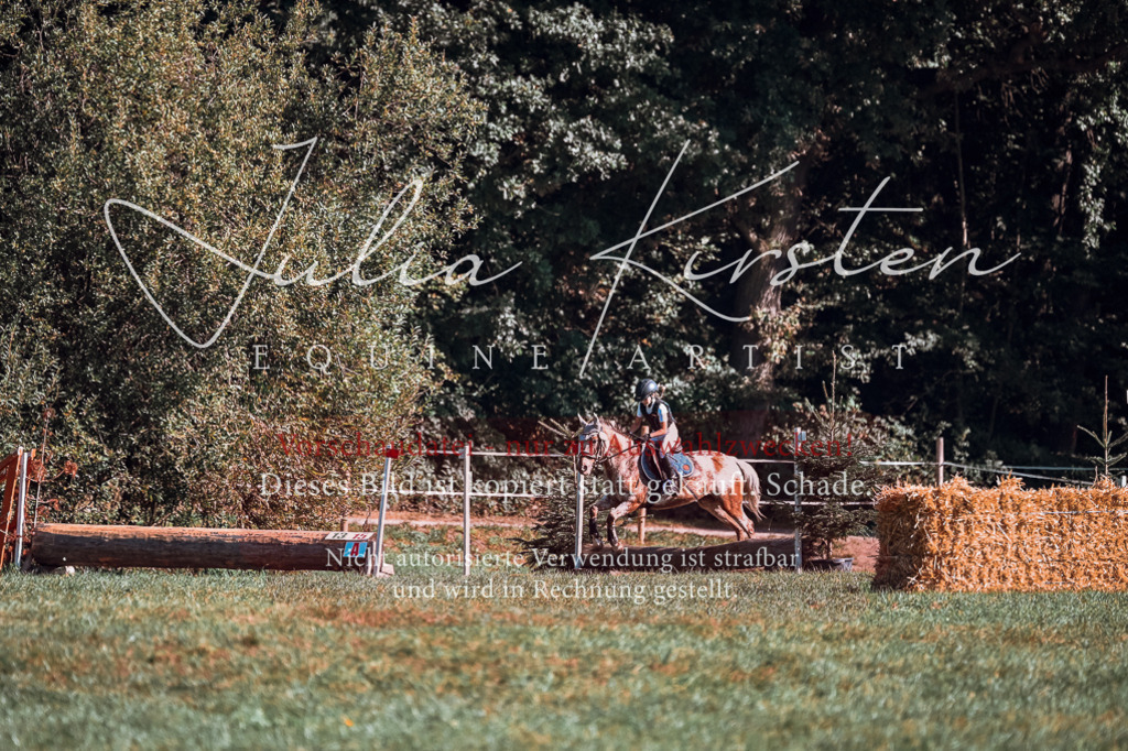 DSC_0708 | Pferde- und Turnierfotografie in Westsachsen. Pferdeportraits, Auftragszeichnungen und intuitive Kunst.