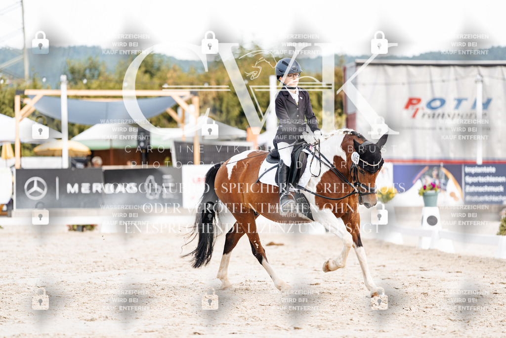 CK904714 | Turnierfotografie Pferdefotografie Trier Rheinland-Pfalz Pferdesport Reitsport Tierfotografie Sportfotografie Pferdevideo Pferdevideografie Equestrianvideography equestrianphotography  - Realisiert mit Pictrs.com