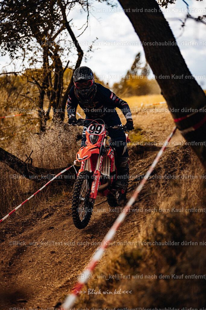 E68A3055 | blick_win_kel