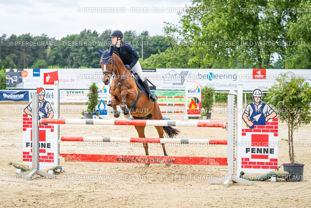 DSC04906 | Pferdegrafie