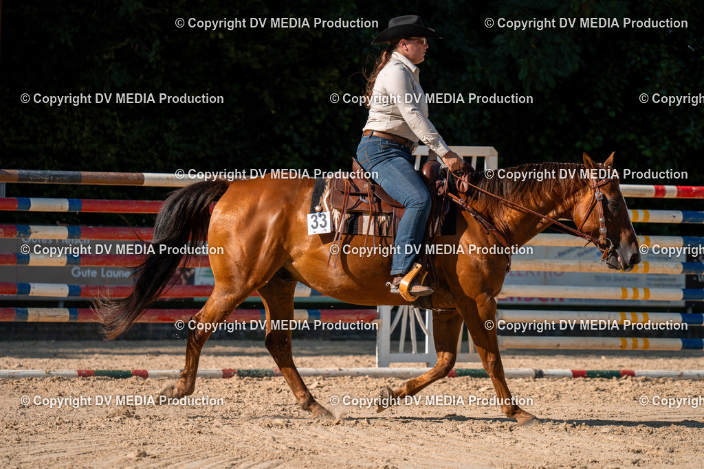 ZH100788 | dv-media-shop - Realisiert mit Pictrs.com