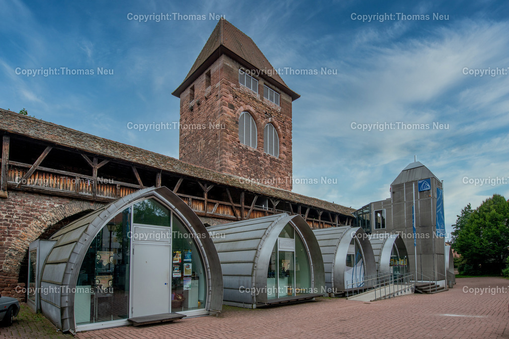 Worms_Nibelungenmuseum_DSC1490 | Worms, Nibelungenmuseum an der alten Stadtmauer, ,, Bild: Thomas Neu