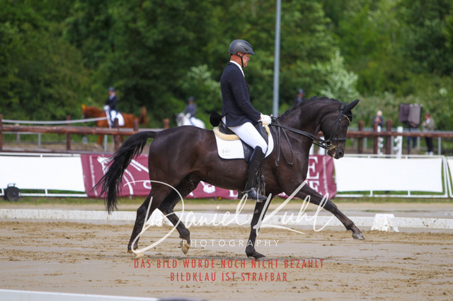 DKP40727 | Turniersportfotografie; Pferdefotografie; Dressurfotografie