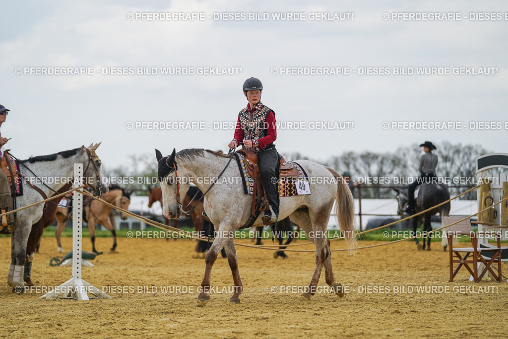 DSC06556 | Pferdegrafie