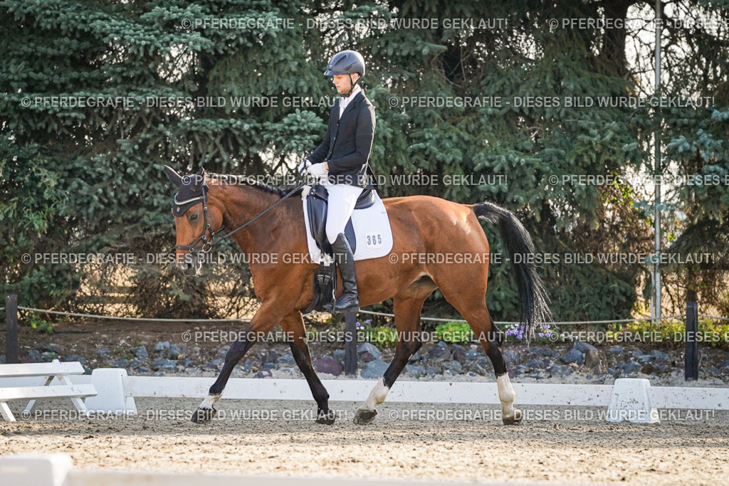 DSC08344 | Pferdegrafie