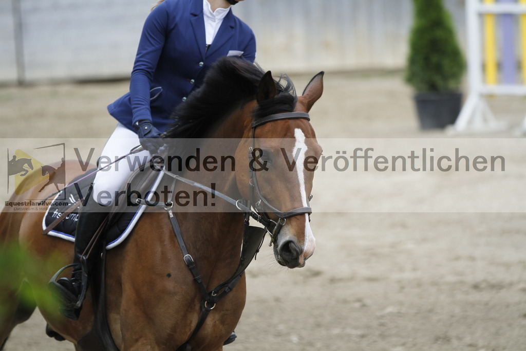 _MG_1039 | equestrian-live-com