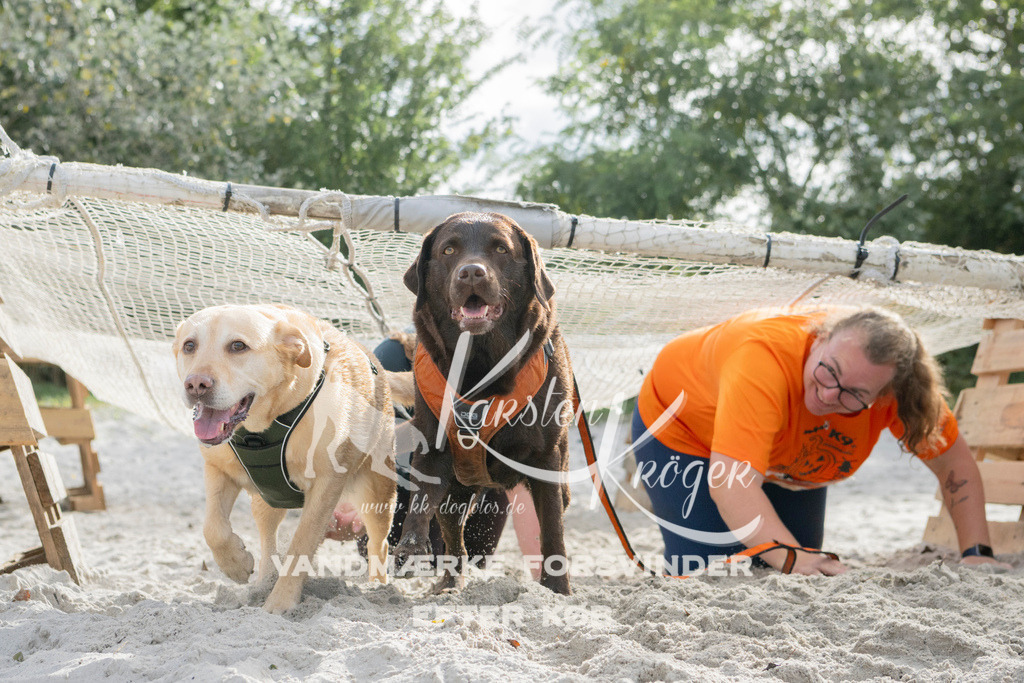 1336_ZZ97957 | kk-dogfotos