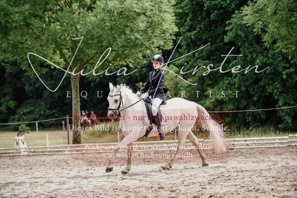 DSC_9461 | Pferde- und Turnierfotografie in Westsachsen. Pferdeportraits, Auftragszeichnungen und intuitive Kunst.