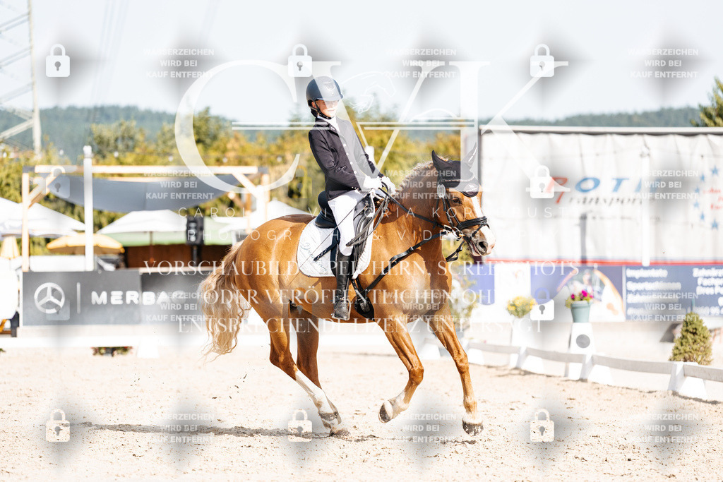 CK905380 | Turnierfotografie Pferdefotografie Trier Rheinland-Pfalz Pferdesport Reitsport Tierfotografie Sportfotografie Pferdevideo Pferdevideografie Equestrianvideography equestrianphotography  - Realisiert mit Pictrs.com