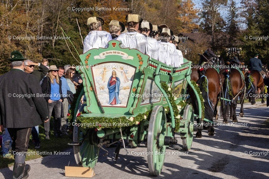 LBT24-1197 | foto-bettina-krinner - Realisiert mit Pictrs.com