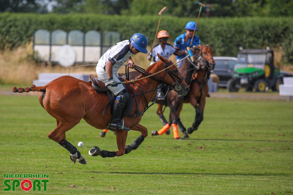 Polo_Willich_070623_112 | Bildergalerie von Sport-Ereignissen aber auch von weiteren spannenden Dingen - nicht nur vom Niederrhein. In Anlehnung an den bekannten Spruch von Hanns Dieter Hüsch heißt das Motto: "Niederrhein ist überall".  - Realisiert mit Pictrs.com