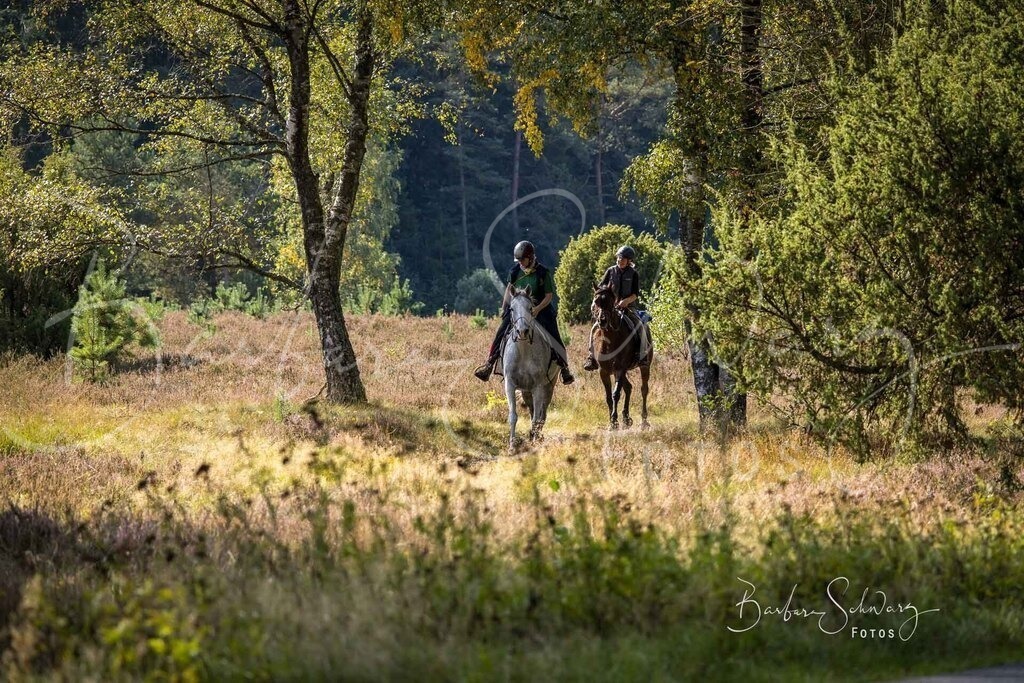 DdLH-WehlenerHeide_2025-09-20_147 | Fotografie, Veranstaltungs-Fotografie, Pferde-Fotografie, Landschafts-Fotografie, Reise-Fotografie - Realisiert mit Pictrs.com