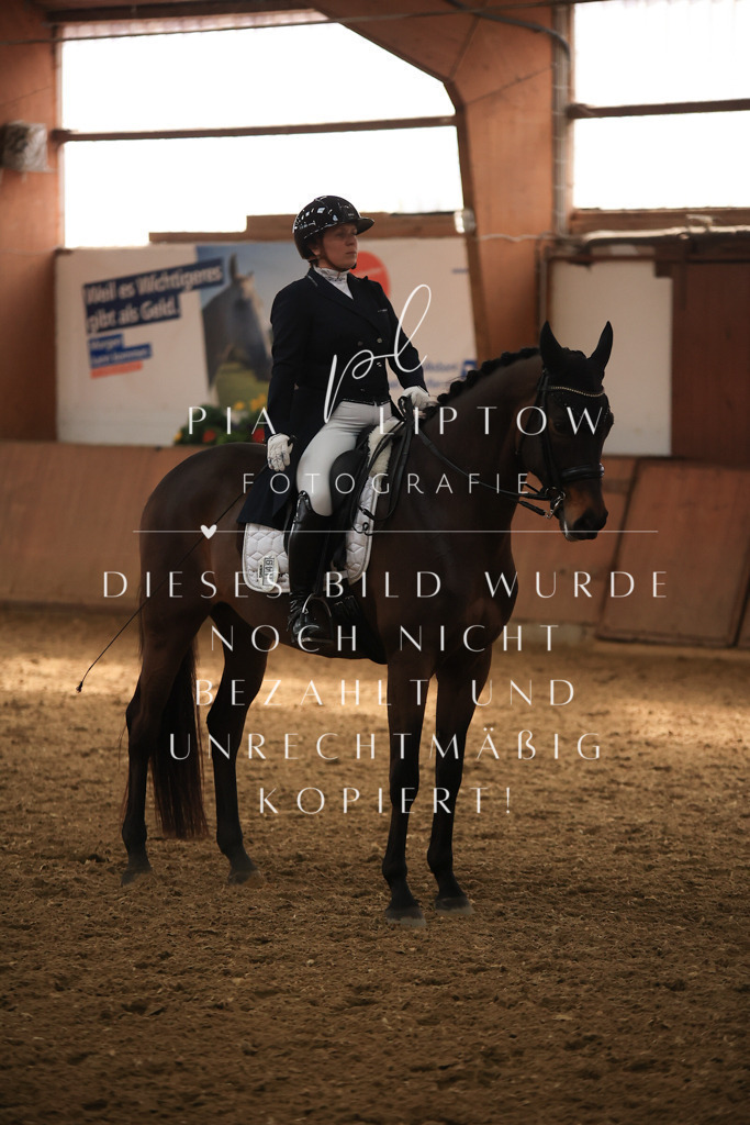 IMGT4933 | pl-fotografie