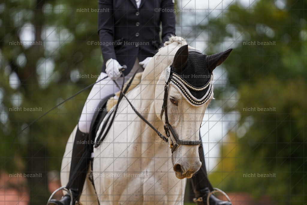 20231007-SN_00708 | Diessen am Ammersee, 2023, Dressur- und Springturnier, Reitsport, Turnierfotografie, Pferdebilder, Reitbilder, Turnierfotografen Bayern, Fotoagentur Herrmann