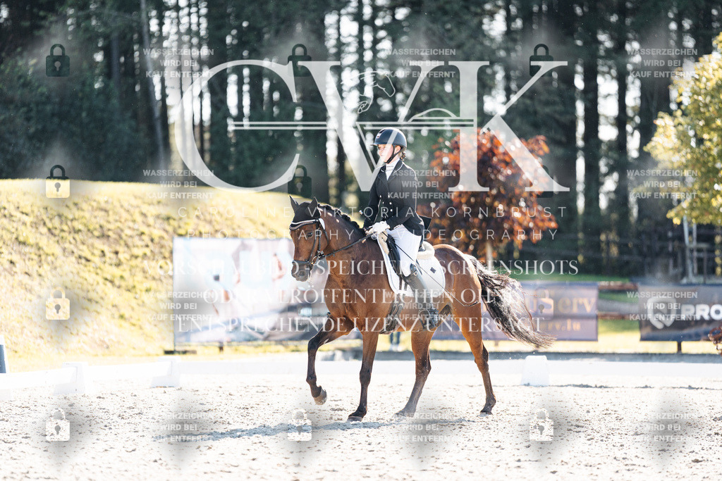 CK906271 | Turnierfotografie Pferdefotografie Trier Rheinland-Pfalz Pferdesport Reitsport Tierfotografie Sportfotografie Pferdevideo Pferdevideografie Equestrianvideography equestrianphotography  - Realisiert mit Pictrs.com