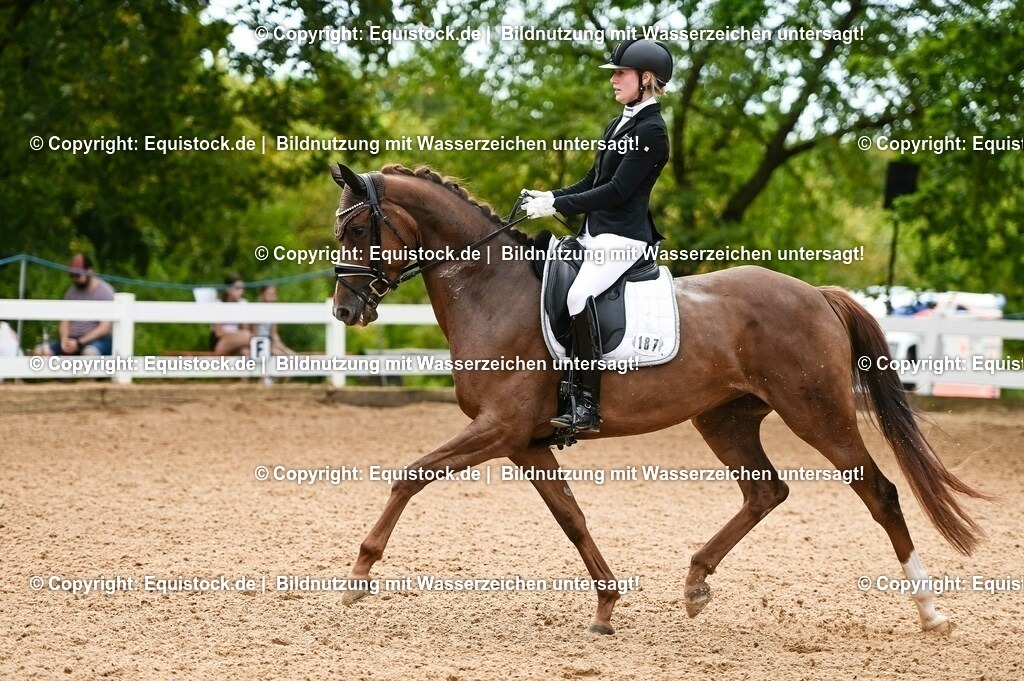 20230715_07_Dressurpferdeprfg. Kl.L_0061 | equistock