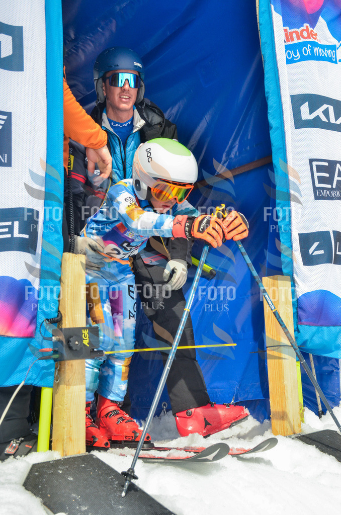 _ELE7815 | holidayphoto