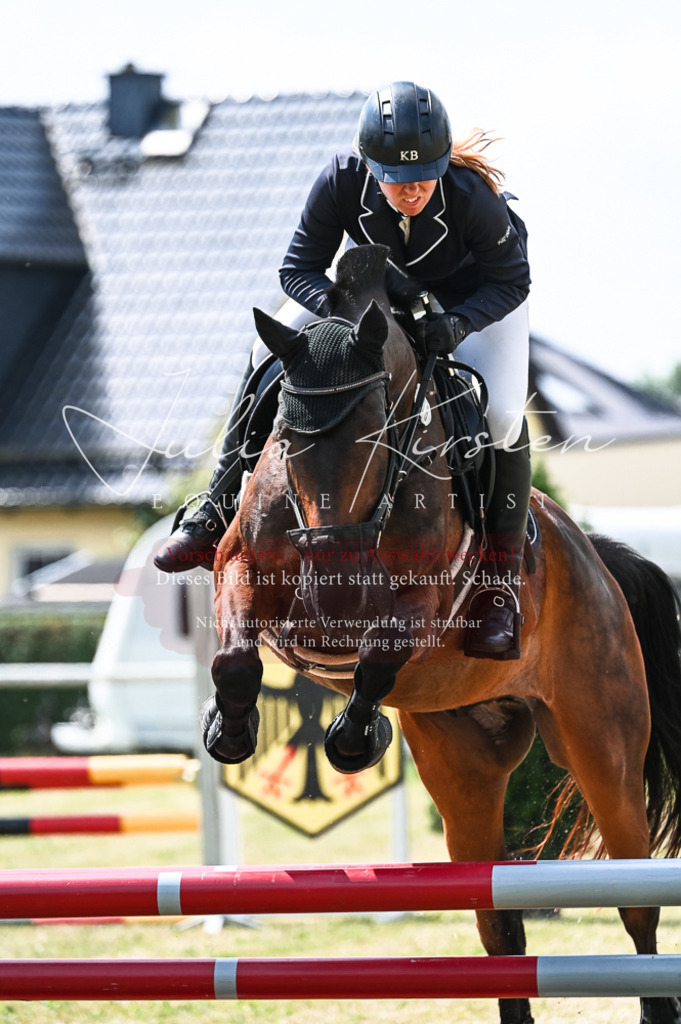 DSC_8862 | Pferde- und Turnierfotografie in Westsachsen. Pferdeportraits, Auftragszeichnungen und intuitive Kunst.