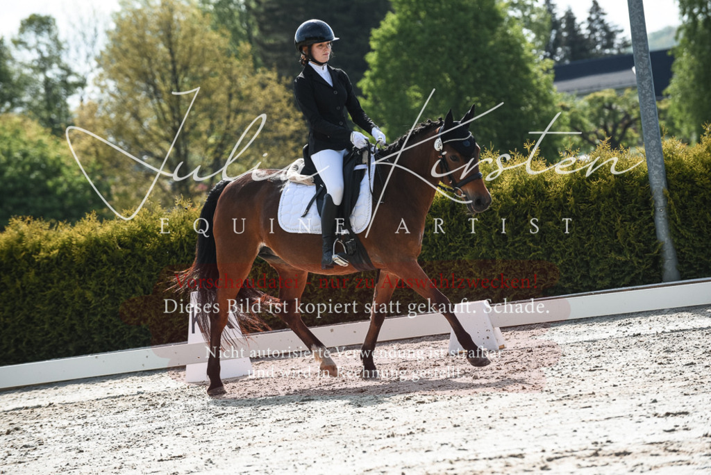 20230518_JK-Röhrsdorf-09-1409 | Pferde- und Turnierfotografie in Westsachsen. Pferdeportraits, Auftragszeichnungen und intuitive Kunst.