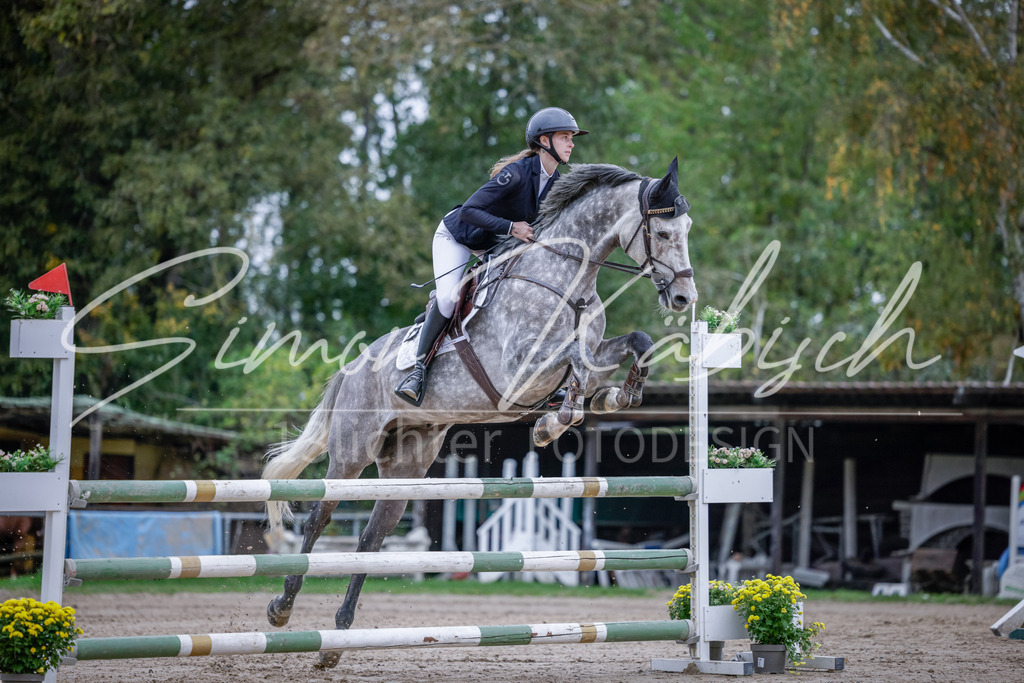 20251012-_3LI4909 | Tierfotografie Pferde, Hunde, Katzen, Haustiere.
Turnierfotografie Reitturniere, Reiten, Springreiten, Dressur in Hanau, dem Main-Kinzig-Kreis und dem Rhein-Main- Gebiet um Frankfurt