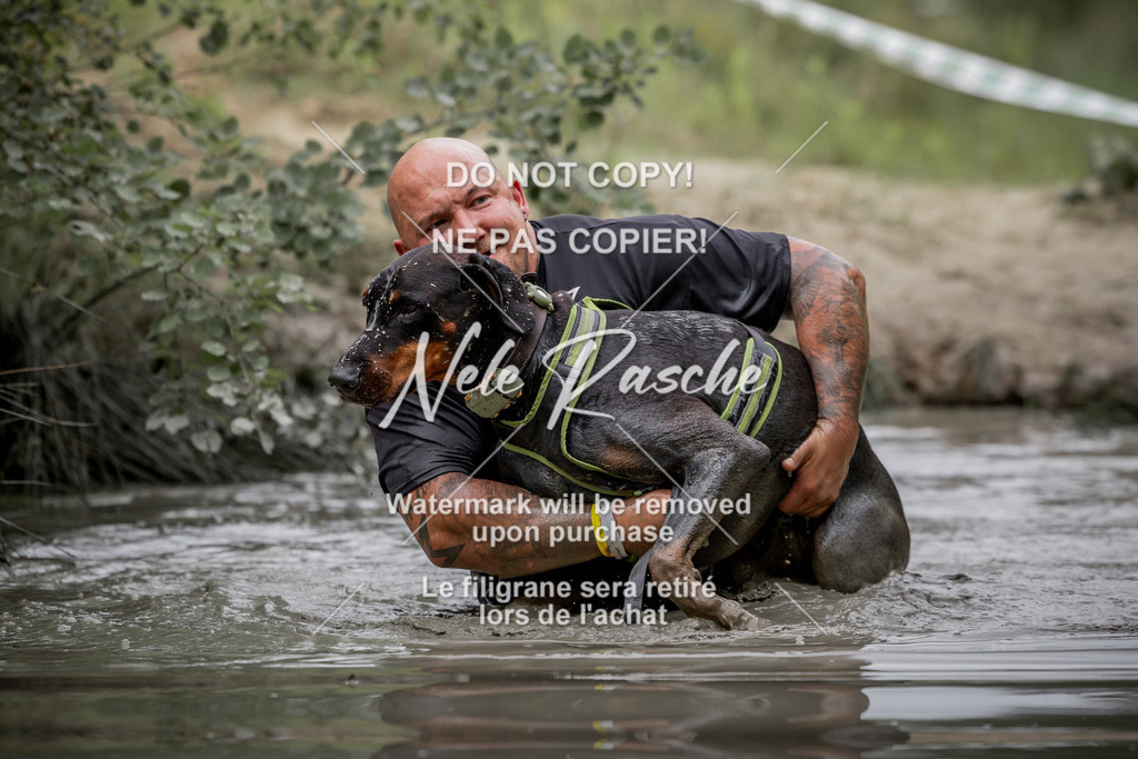 nelerasche_so0800-0930_383 | nelerasche