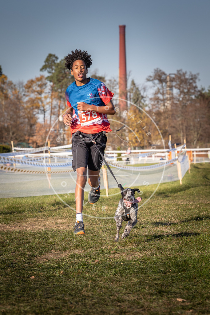 CaniXpix_0L8A8172 | Hundefotografie, Tierfotograf, Pfotenfotografie, Fotoshooting Hund, Hunde Portrait, Hundesport, Hundeportraits, Heideshooting, Hunde, Sportfotograf, Hundefotograf, Turnierhundsport, THS,  - Realisiert mit Pictrs.com