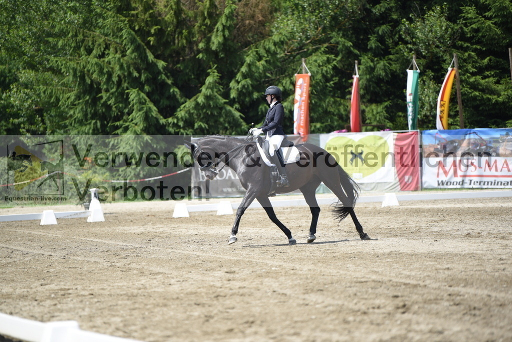 DSC_8999 | equestrian-live-com