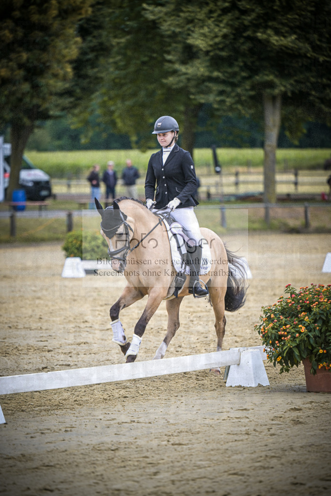 DOS_5074 | Entdecke hochwertige Reitturnierfotos von Foto Oger. Professionell, emotional und authentisch – jetzt Lieblingsmomente im Shop bestellen.Deutschlandweite Turnierfotografie. - Realisiert mit Pictrs.com