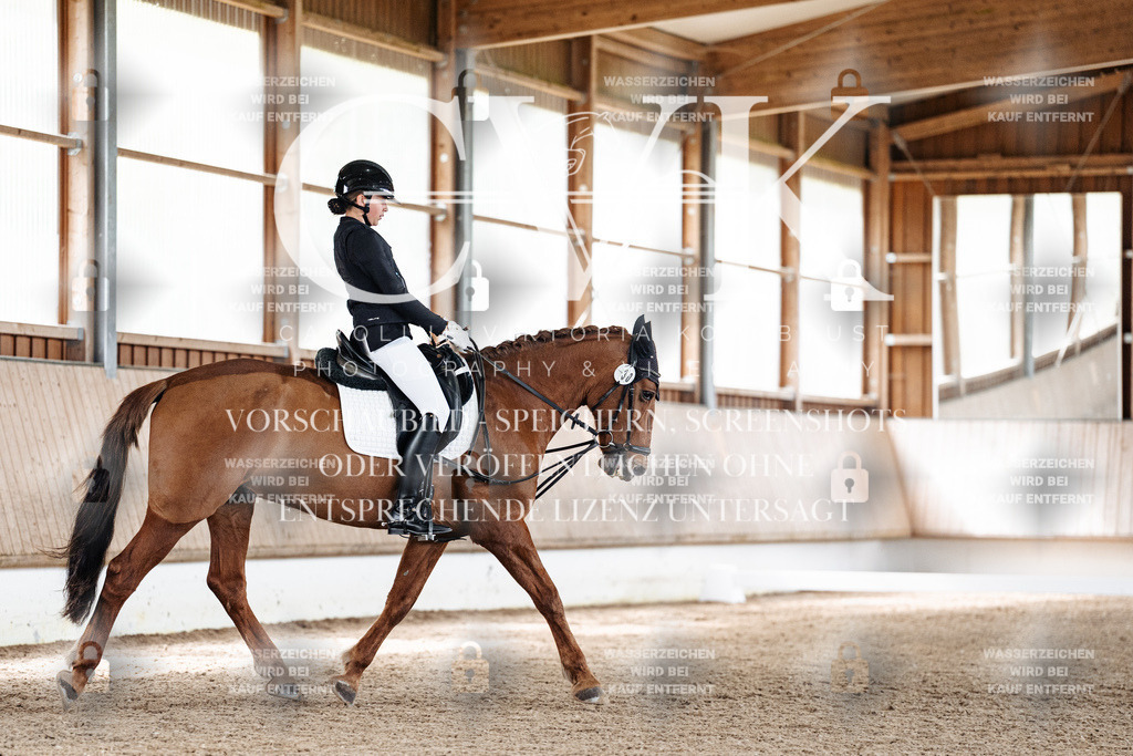 CK900638 | Turnierfotografie Pferdefotografie Trier Rheinland-Pfalz Pferdesport Reitsport Tierfotografie Sportfotografie Pferdevideo Pferdevideografie Equestrianvideography equestrianphotography  - Realisiert mit Pictrs.com