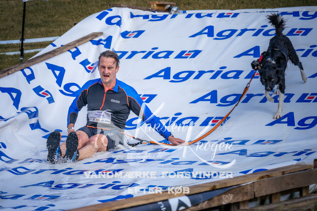 _ZZ967790737 | kk-dogfotos