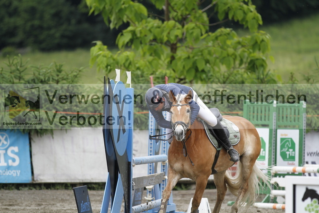 _MG_3798 | equestrian-live-com